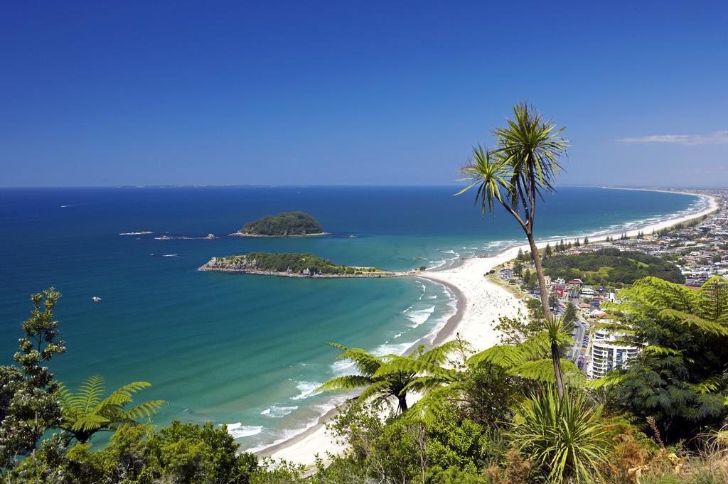 Oceanside Resort&Twin Towers Mount Maunganui Extérieur photo